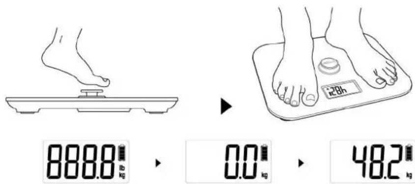 CASO Body Energy Ecostyle - Alimentazione elettrica - 1