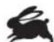 RYOBI One+ R18PD31 - SYMBOLS IN THIS MANUAL - 7