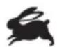 RYOBI One+ R18PD5 - SYMBOLS IN THIS MANUAL - 4