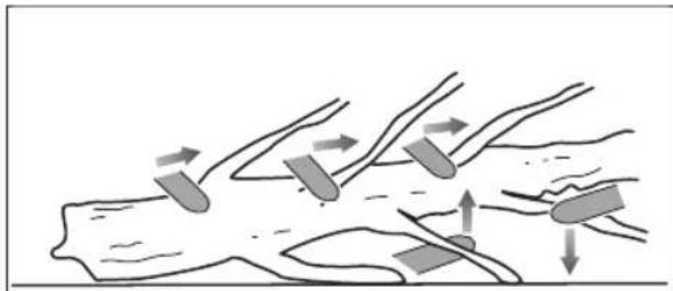 RYOBI Max Power RY36CSX30B - CORTAR RAMOS DE UMA ARVORE - 1