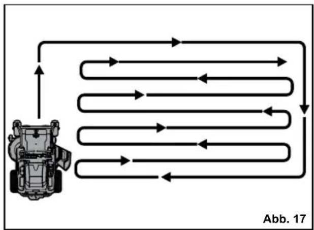 RYOBI ZTR480EX - TIPS ZUM RASENMÄHEN - 1