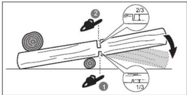 RYOBI RCS1835B - DEBITAREA UNUI BUŞTEAN LA DIMENSIUNE - 1