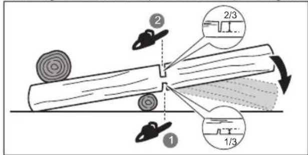 RYOBI RCS1835B - TAGLIARE UN TRONCO IN PEZZI PIÙ PICCOLI - 1