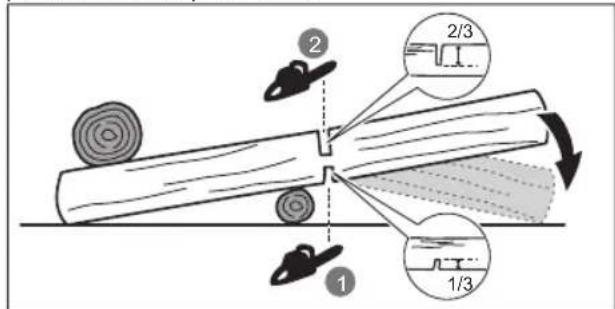 RYOBI RCS1835B - CORTE TRANSVERSAL DE UN TRONCO - 1