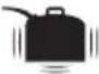 RYOBI RBC52FSBOS - SYMBOLE - 12