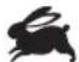 RYOBI One+ R18PD2 - SYMBOLS - 4
