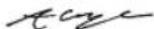 RYOBI Max Power RBL36JB - DICHIARAZIONE DI CONFORMITA - 1