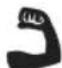 RYOBI RPS100 - SYMBOL IN DE GEBRUKSAANWIJZING - 9