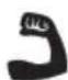 RYOBI RSS200 - ЗНАК - 18
