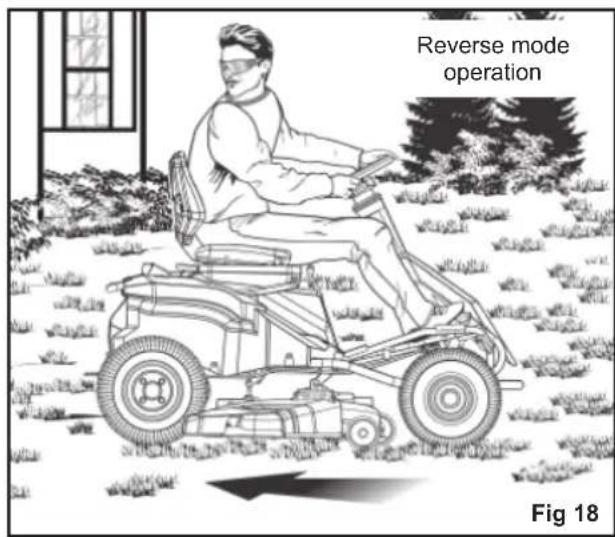 RYOBI RM480E - WARNING - 2