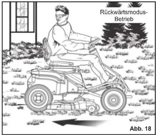 RYOBI RM480E - WARNUNG - 2