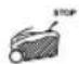 RYOBI RLM53190YV - SYMBOLY - 8
