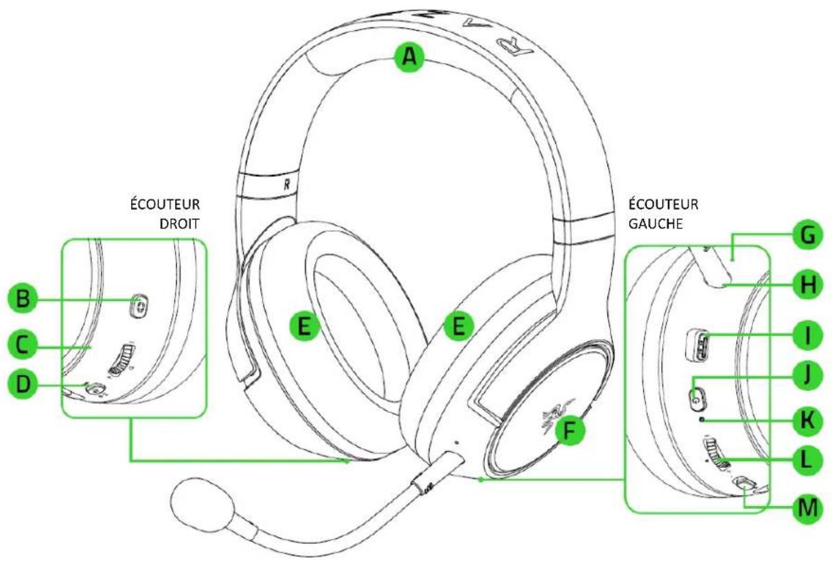 RAZER Kaira Pro - CE QUI VOUS ATTEND - 1