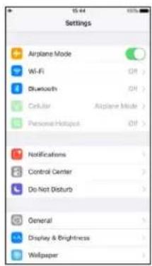 Settings Airplane Mode Wi-Fi Bluetooth Cellular Airplane Mode Personal Hotspot Notifications Control Center Do Not Disturb General Display & Brightness Wallpaper