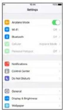 Settings Airplane Mode Wi-Fi Bluetooth Cellular Personal Hotspot Airplane Mode Bluetooth Personal Hotspot Notifications Control Center Do Not Disburb General Display & Brightness Wallpaper