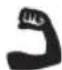 RYOBI RPS80 - SYMBOLS IN THIS MANUAL - 9