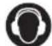 RYOBI ROS310 - 10NEPEDXEHH - 2