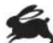 RYOBI ROS310 - SYMBOL IN DE GEBRUKSAANWIJZING - 5