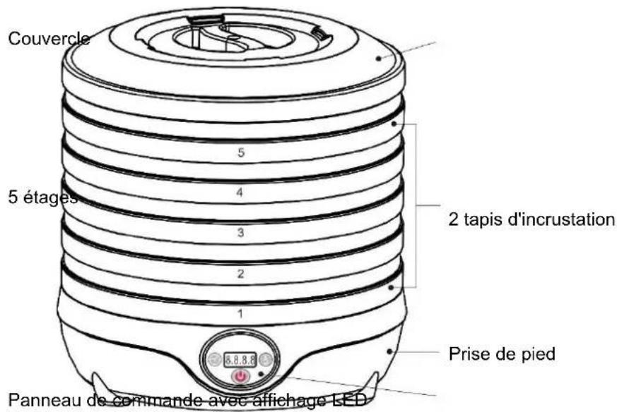 SUNTEC FDH8595 Dörthe digital - Composants - 1
