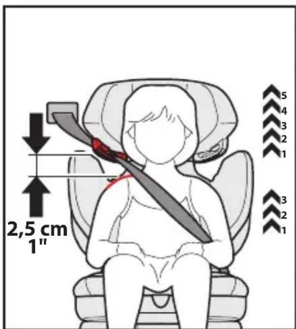 PEG PEREGO Viaggio Flex 120 - Attacher votre enfant sur le rehausseur - 2