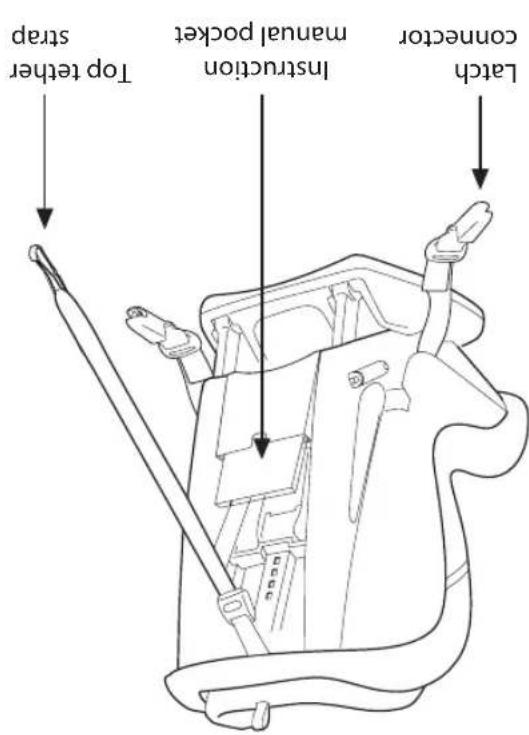 PEG PEREGO Primo Viaggio Convertible - EONNNNNEA - 4