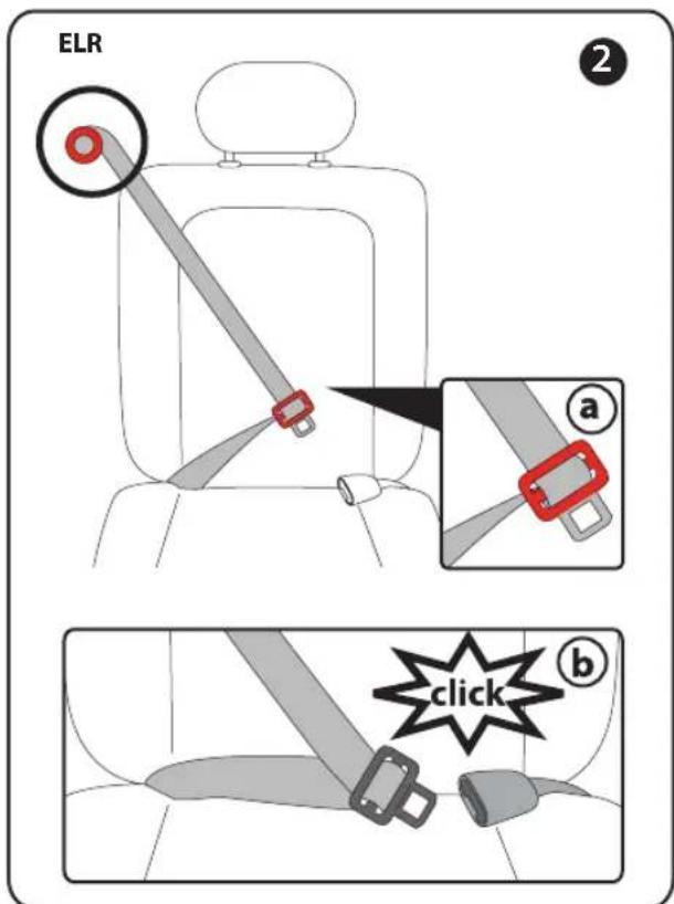 PEG PEREGO Primo Viaggio Convertible - Sangle d'épaule/de cuisses (3 points) avec Rétracteur à blocage d'urgence (ELR) et plaque de fermeture. - 1