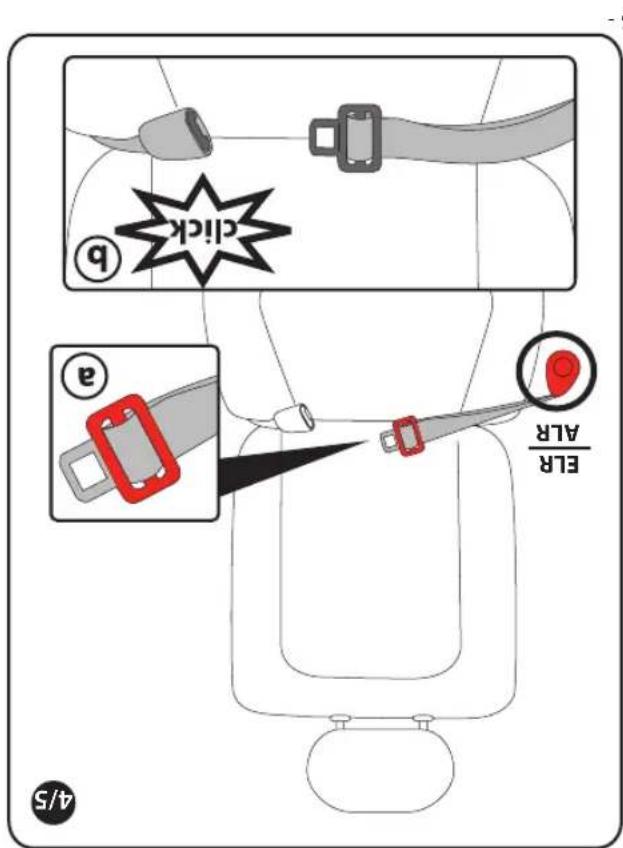 PEG PEREGO Primo Viaggio Convertible - EONNNNNEA - 2