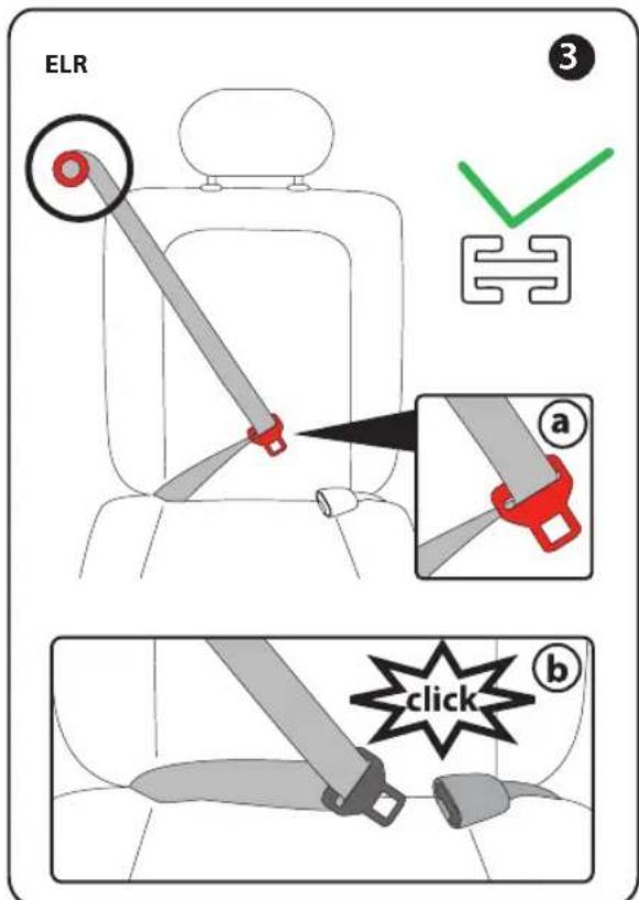 PEG PEREGO Primo Viaggio Convertible - Sangle d'épaule/de cuisses (3 points) avec Retracteur à blocage d'urgence (ALR) et plaque de fermeture coulissante. - 1
