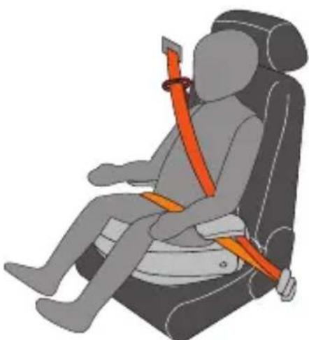 PEG PEREGO Viaggio 23 Shuttle Plus - UNIVERSAL CATEGORY 22-36 Kg BELTED - 3