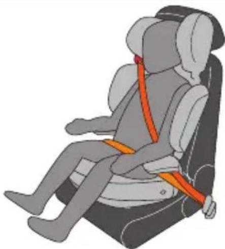 PEG PEREGO Viaggio 23 Shuttle Plus - UNIVERSAL CATEGORY 15-36 Kg BELTED - 3