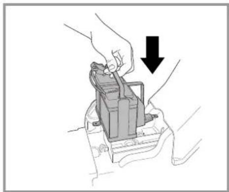 PEG PEREGO Case IH Magnum - WARNING: - 5