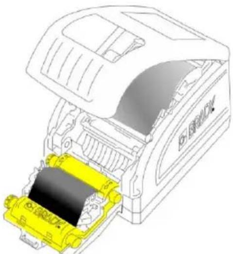 BRADY BradyPrinter M611 - Installation du ruban - 1
