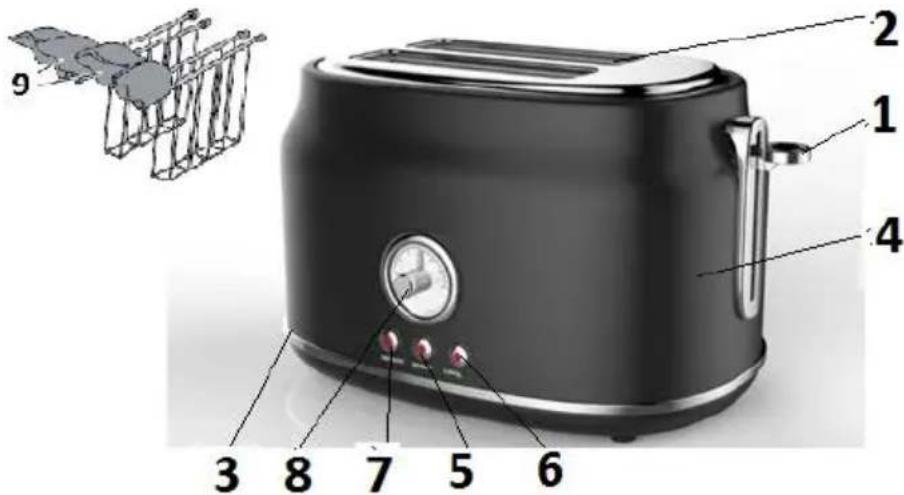 G3 Ferrari Artista G10134 - NOMENCLATURA G10134 - 1