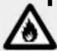 MELINERA IAN 300001 - CAUTION! EX- - 1
