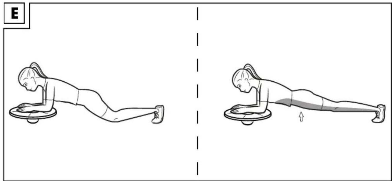 CRIVIT IAN 304186 - BALANCE-BOARD BALANCE BOARD PLATEAU D'ÉQUILIBRE - 5