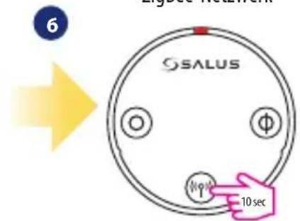 Salus SQ610RF - Kopplung mit TRV-Heizkörperkopf (Installieren Sie den TRV gemäß den im Lieferumfang enthaltenen Anweisungen): - 6