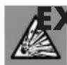 ULTIMATE SPEED ULGD 10 A1 - EXPLOSIVE GASES! - 1