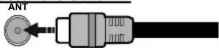 CONTINENTAL EDISON CELED39SA21B3 - Collegamento antenna - 1