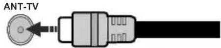 CONTINENTAL EDISON CELED55SA20B3V2 - Lato posteriore della TV - 1