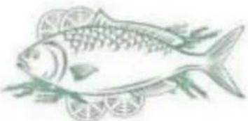 CONTINENTAL EDISON CECUF235NFW - Fish and seafood - 1