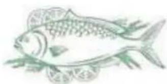 CONTINENTAL EDISON CECUF235NFW - Poisson et fruits de mer - 1