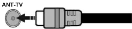 CONTINENTAL EDISON CELED50SA20B3 - Parte trasera del televator - 1