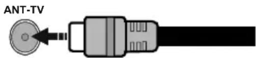 CONTINENTAL EDISON CELED43S0119B3 - Parte trasera inferior del televisor - 1