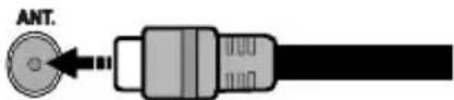 CONTINENTAL EDISON CELED32S0817B3 - Antenna Connection - 1