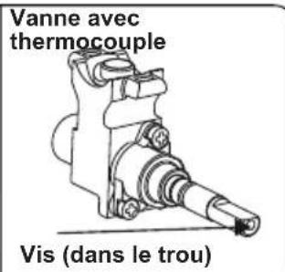 CONTINENTAL EDISON CECDF5060W2 - Réglage de la position minimale de la flamme : - 2
