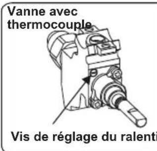CONTINENTAL EDISON CECDF5060W2 - Réglage de la position minimale de la flamme : - 1