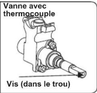 CONTINENTAL EDISON CECDF6060W - Réglage de la position minimale de la flamme : - 2