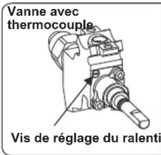 CONTINENTAL EDISON CECG6065FCS - Réglage de la position minimale de la flamme : - 1