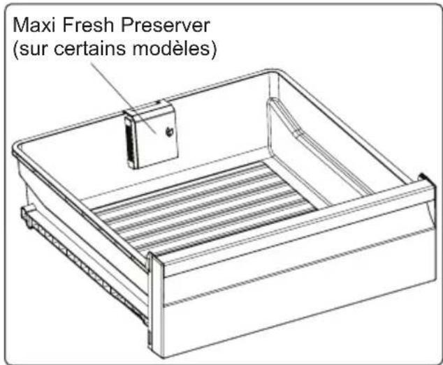 CONTINENTAL EDISON CEFC324B - Maxi Fresh Preserver (sur certains modèles) - 2