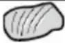 CONTINENTAL EDISON CECTG4BD - Attention - 5